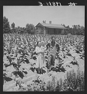 Sharecropper with wife and child in their tobacco field. Note that the tobacco grows up to the front porch. Near Chapel Hill, North Carolina
